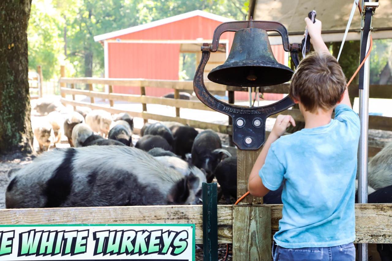 Rooterville Animal Sanctuary Melrose Bagian luar foto