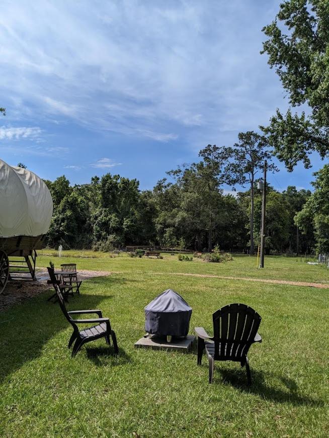 Rooterville Animal Sanctuary Melrose Bagian luar foto