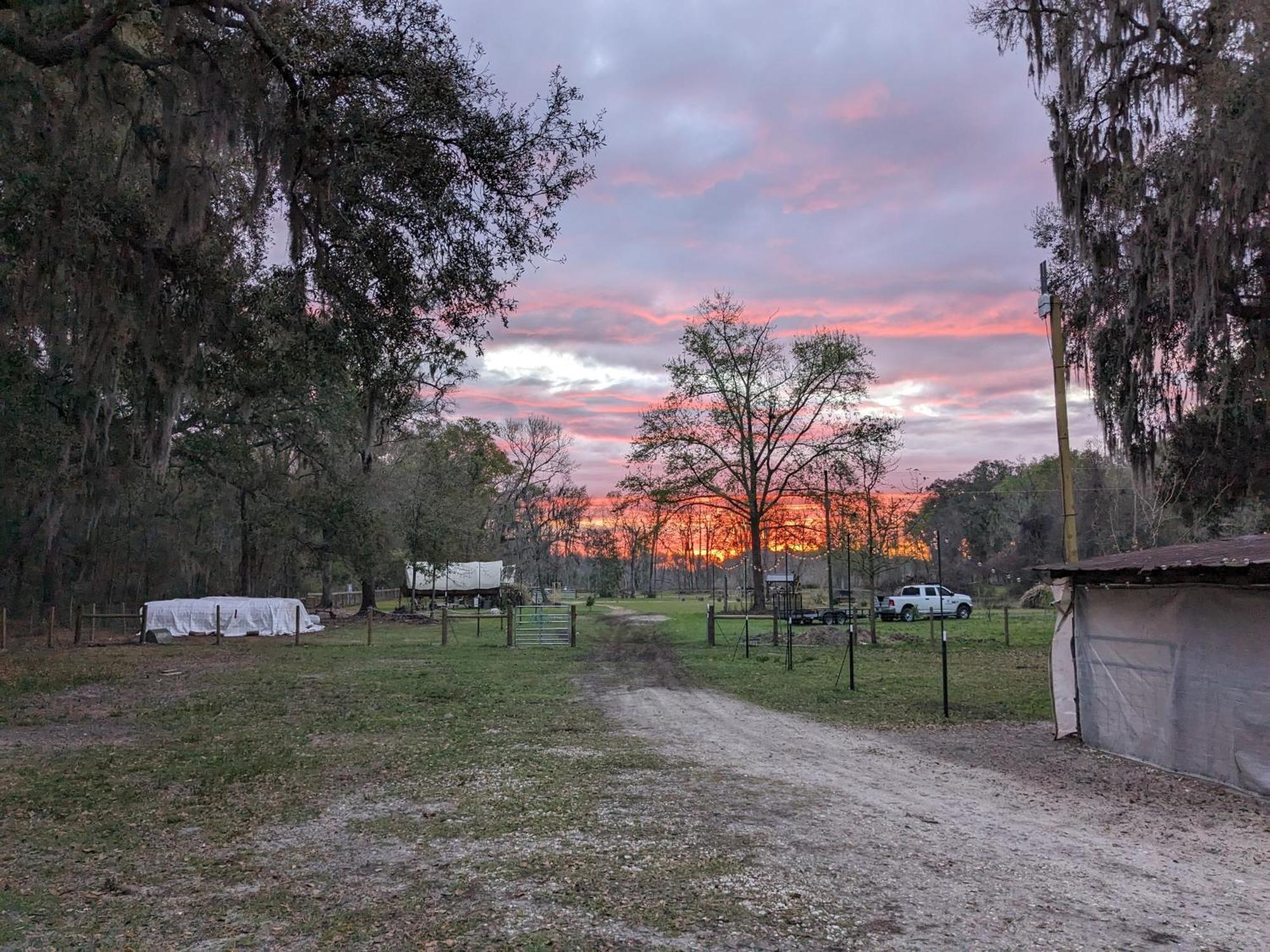 Rooterville Animal Sanctuary Melrose Bagian luar foto